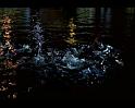 PDVD_562