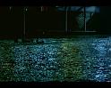 PDVD_605