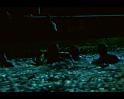 PDVD_606