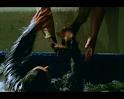 PDVD_611
