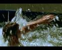 PDVD_616