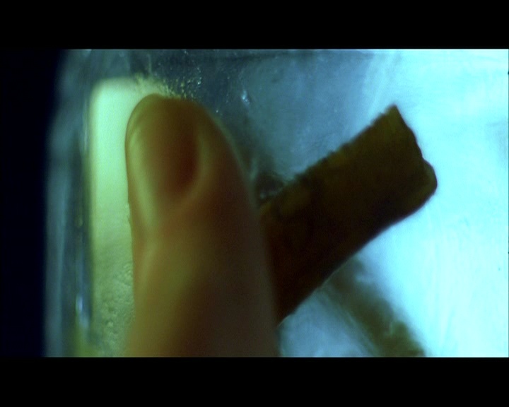 PDVD_1035.jpg