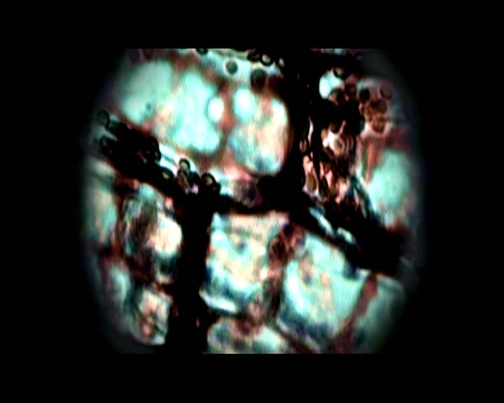 PDVD_1104.jpg