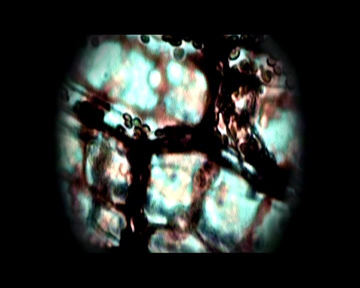 PDVD_1105.jpg
