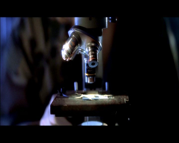 PDVD_1108.jpg