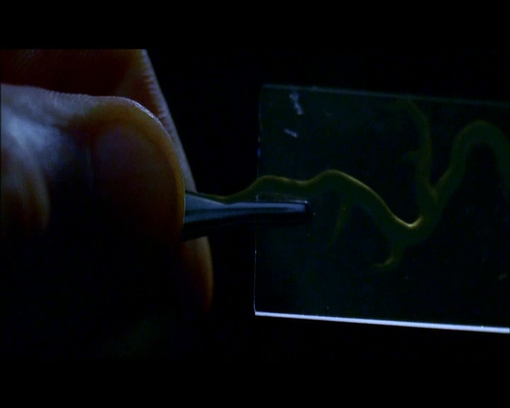 PDVD_1140.jpg