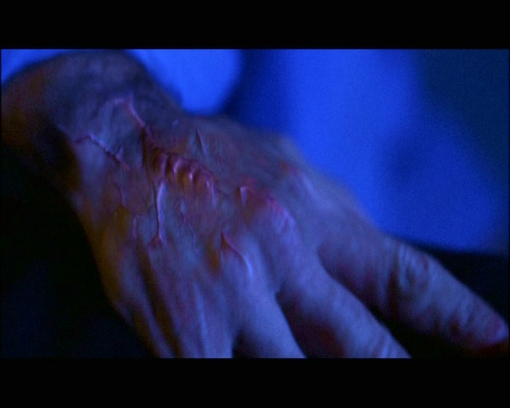 PDVD_1176.jpg