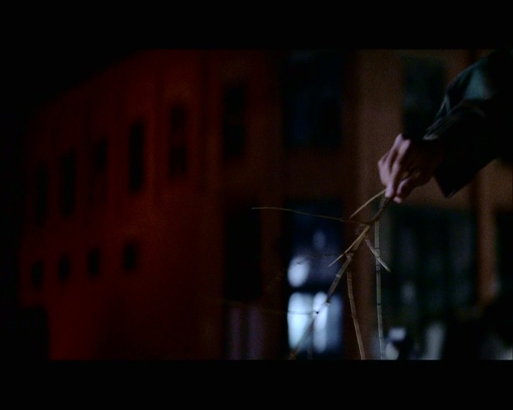 PDVD_1198.jpg