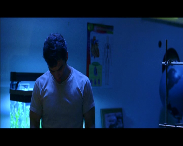 PDVD_1273.jpg