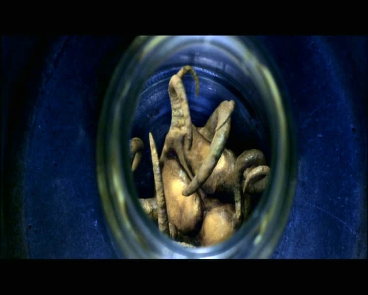 PDVD_1289.jpg
