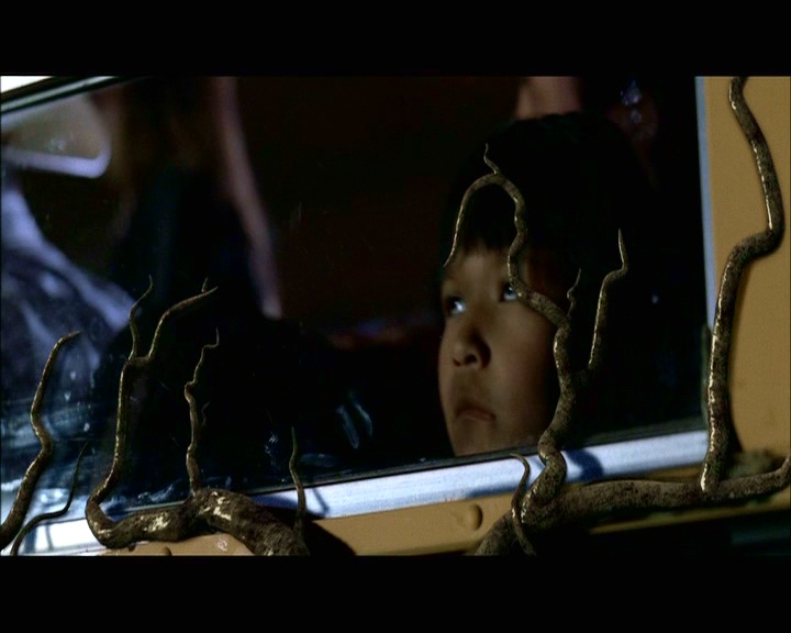 PDVD_1433.jpg