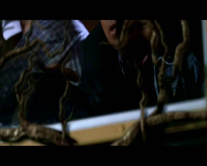 PDVD_1437.jpg