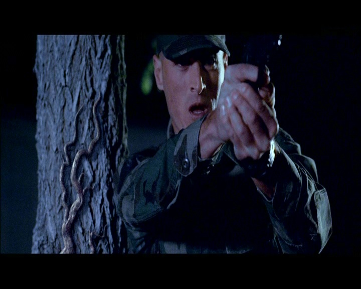 PDVD_1453.jpg