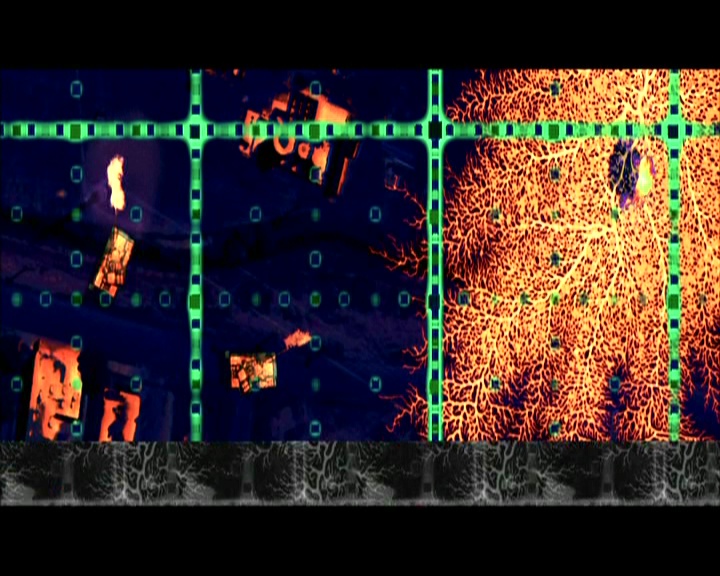 PDVD_1485.jpg