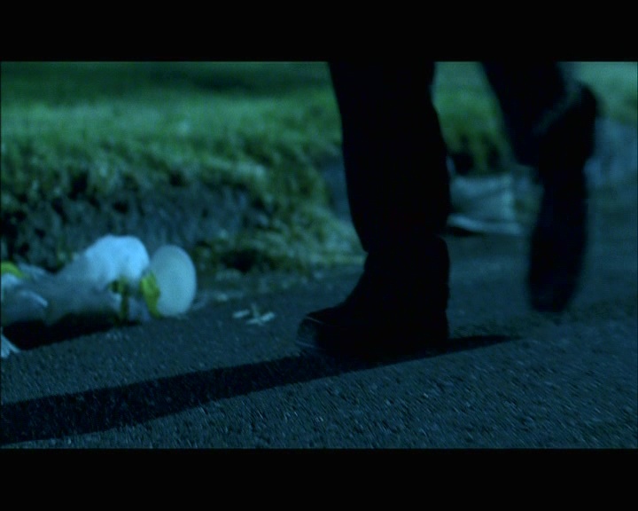 PDVD_1524.jpg