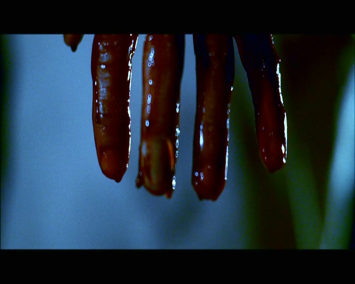 PDVD_1530.jpg