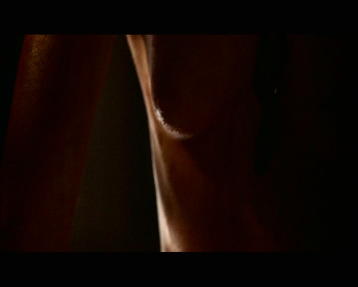 PDVD_1619.jpg