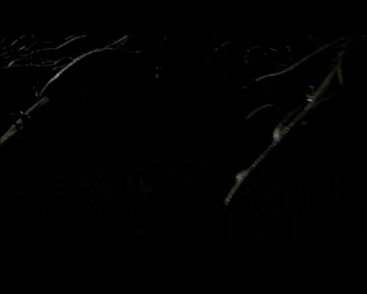 PDVD_1705.jpg