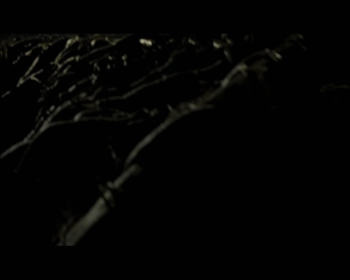 PDVD_1706.jpg