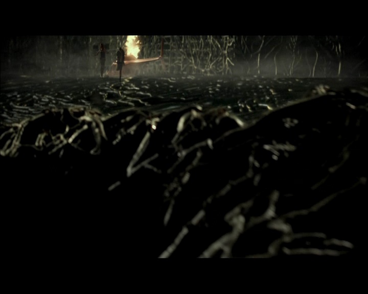 PDVD_1707.jpg