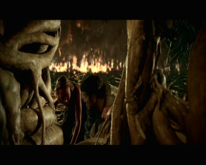 PDVD_1712.jpg