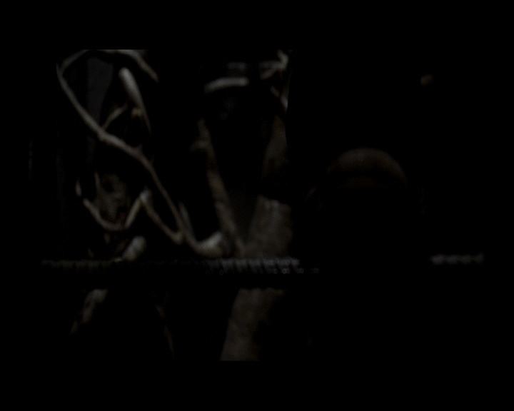 PDVD_1744.jpg