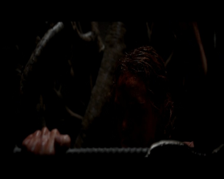 PDVD_1747.jpg