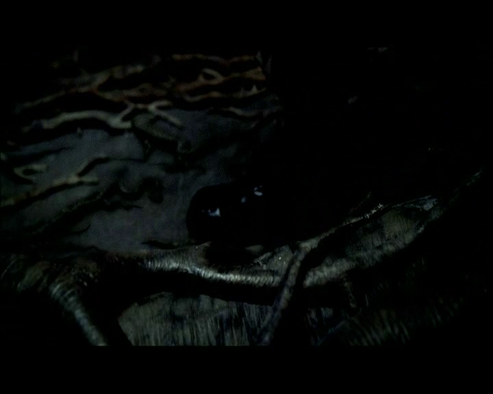 PDVD_1760.jpg