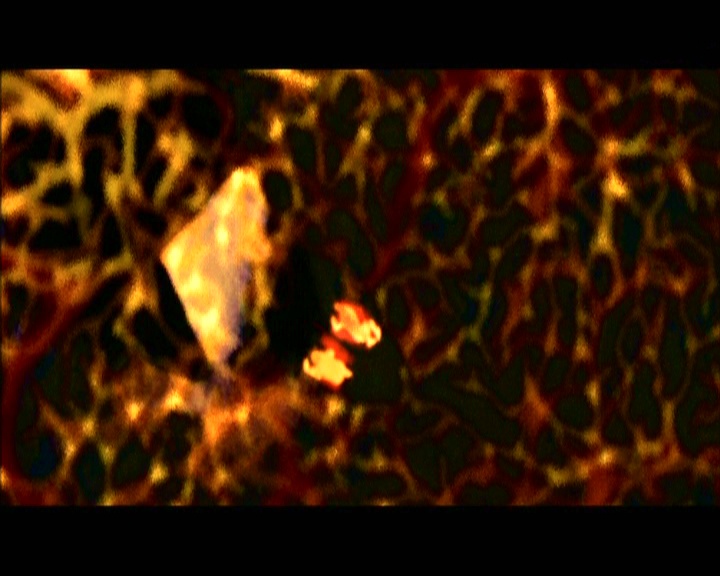 PDVD_1798.jpg