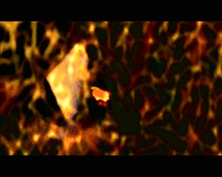 PDVD_1800.jpg
