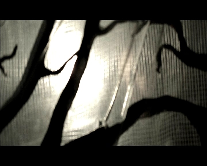 PDVD_1819.jpg