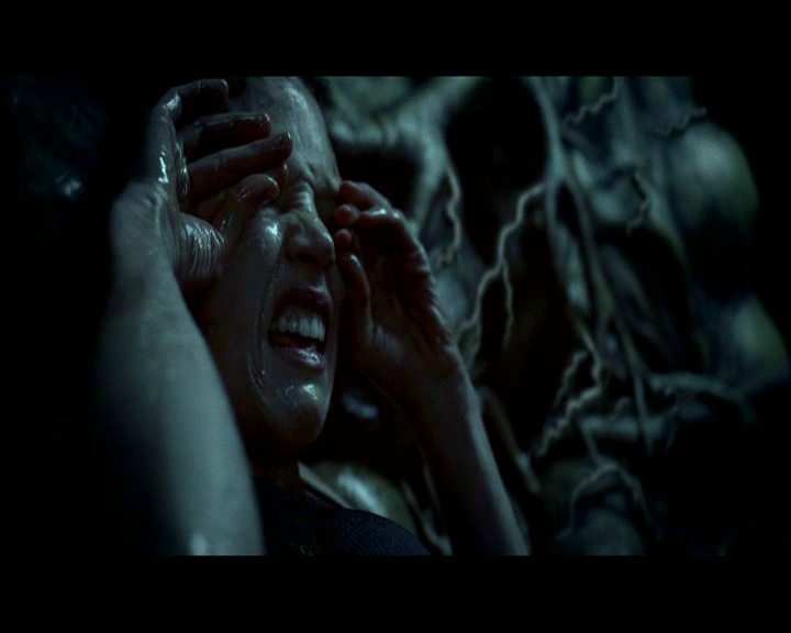 PDVD_1840.jpg