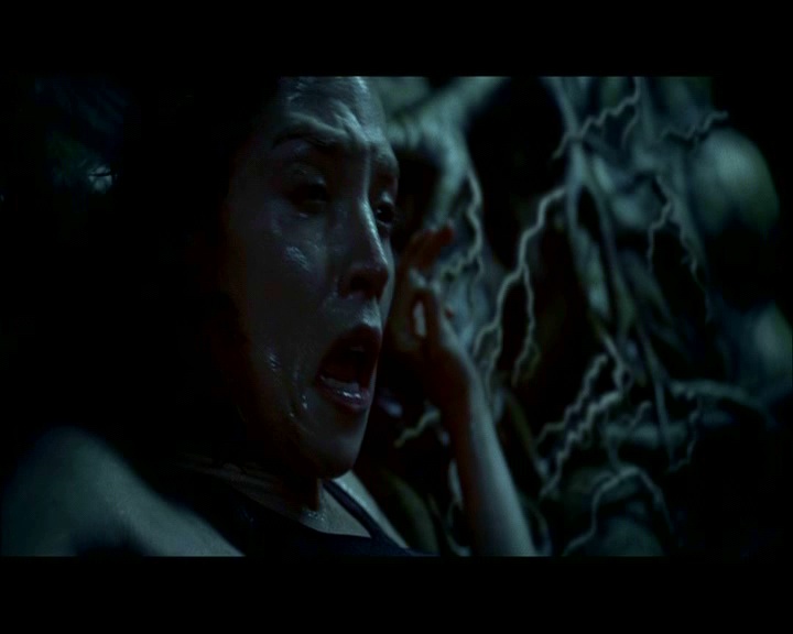 PDVD_1841.jpg
