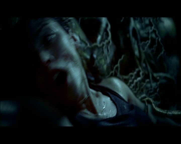 PDVD_1842.jpg