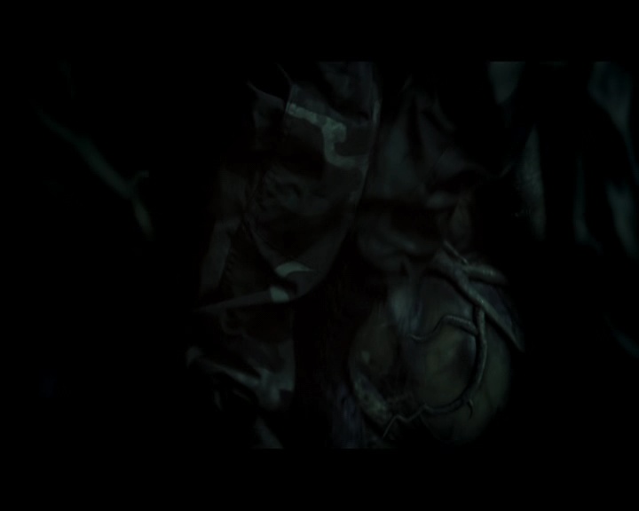 PDVD_1854.jpg