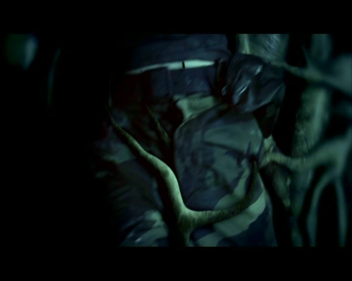 PDVD_1860.jpg