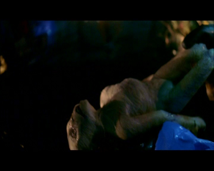 PDVD_440.jpg