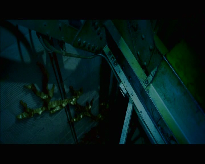 PDVD_523.jpg