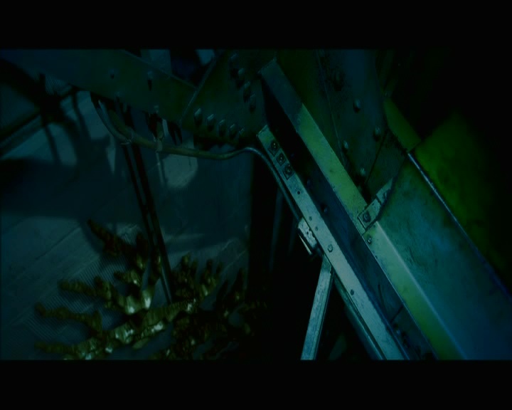 PDVD_524.jpg