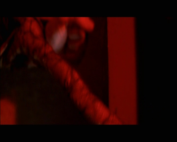 PDVD_532.jpg
