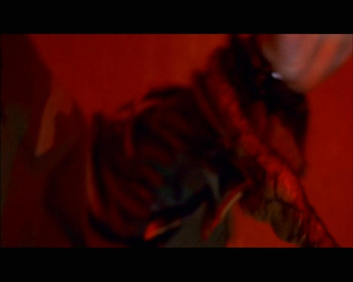 PDVD_535.jpg