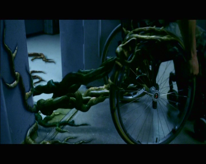 PDVD_545.jpg