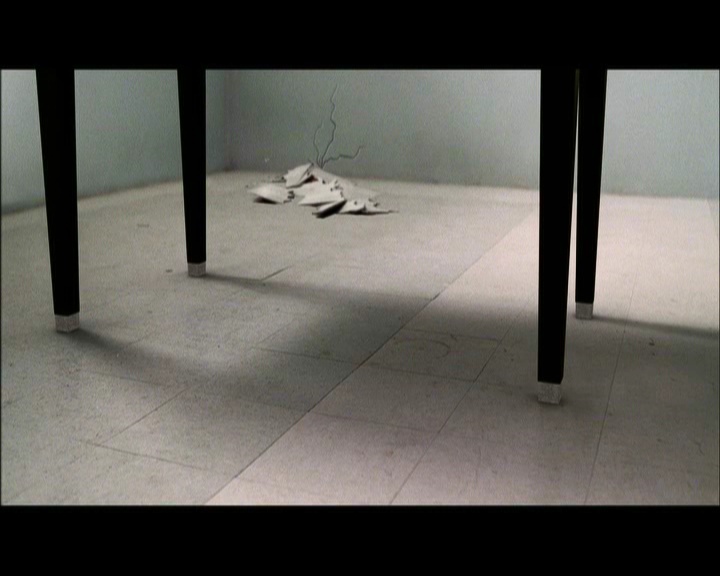 PDVD_578.jpg