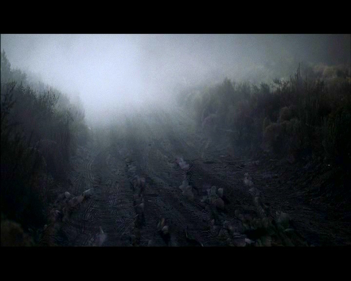 PDVD_960.jpg