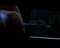 PDVD_1140