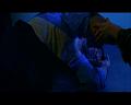 PDVD_1186