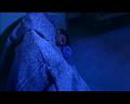 PDVD_1225