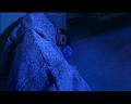 PDVD_1226