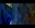 PDVD_1264