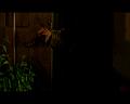 PDVD_1510
